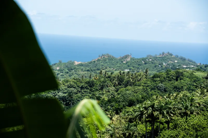 Ausblick vom Coco Hill Forest bis zum Atlantik