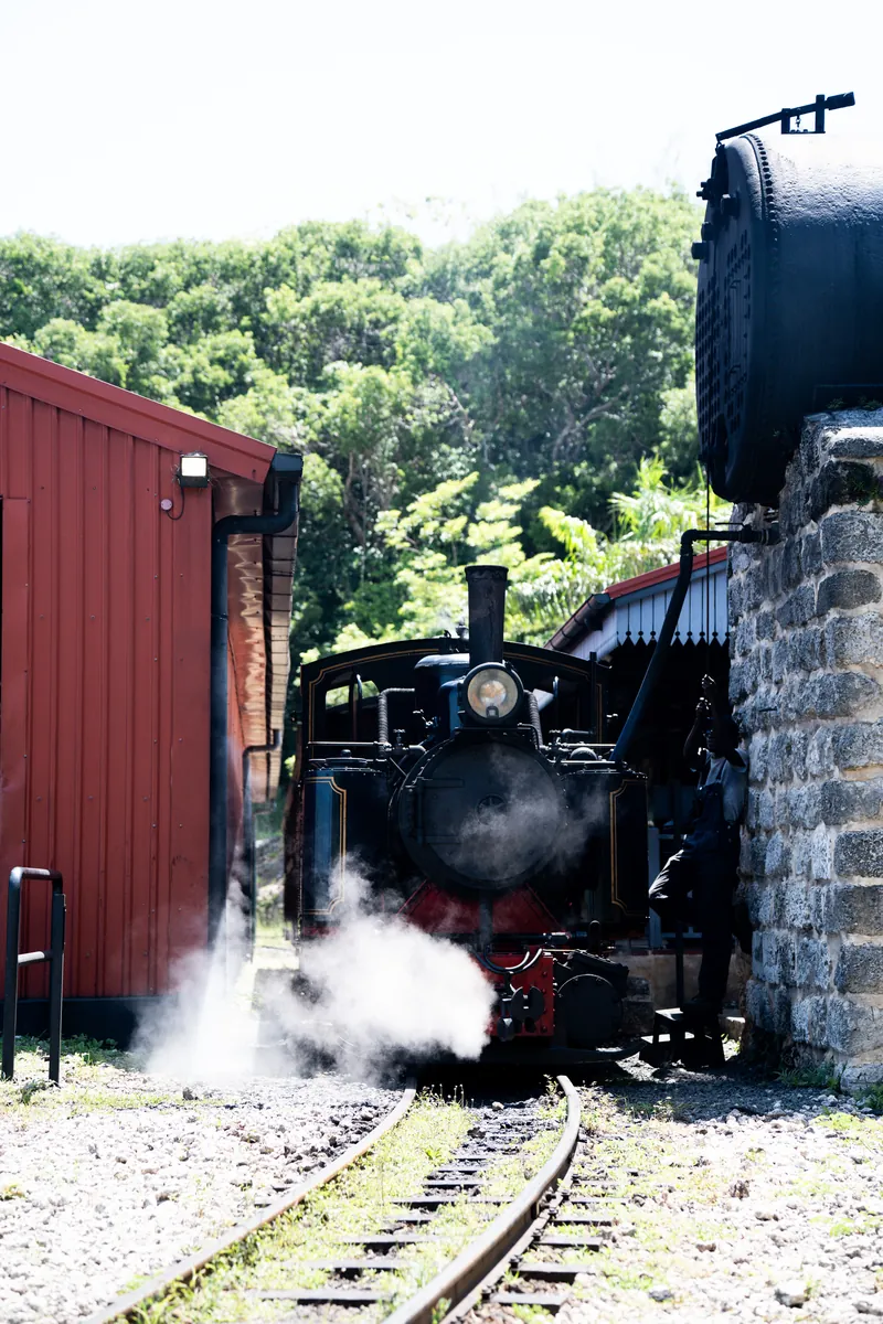 Dampflok der St. Nicholas Abbey Heritage Railway