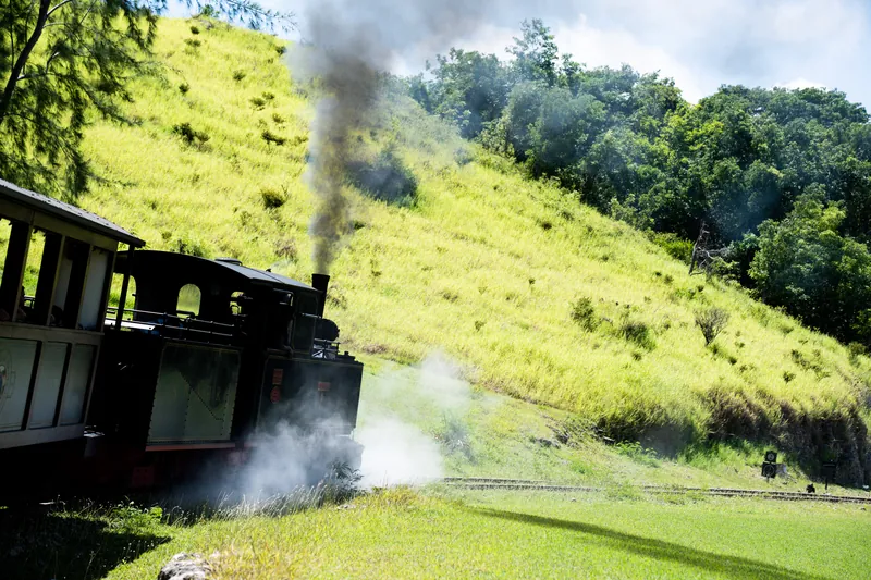 Dampfzug der St. Nicholas Abbey Heritage Railway