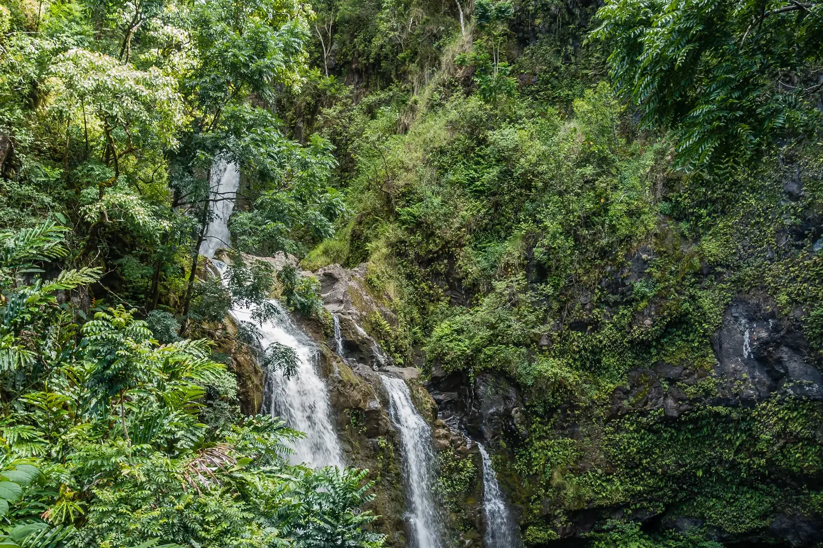 Ein Wasserfall im Regenwald an der Road to Hana auf Maui