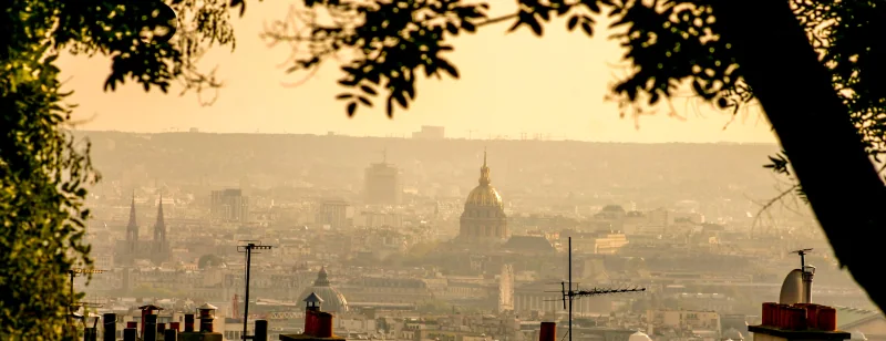 Die Dächer von Paris im goldenen Abenddunst, in der Mitte die Kuppel des Invalidendoms, oben Blätter eines Baumes