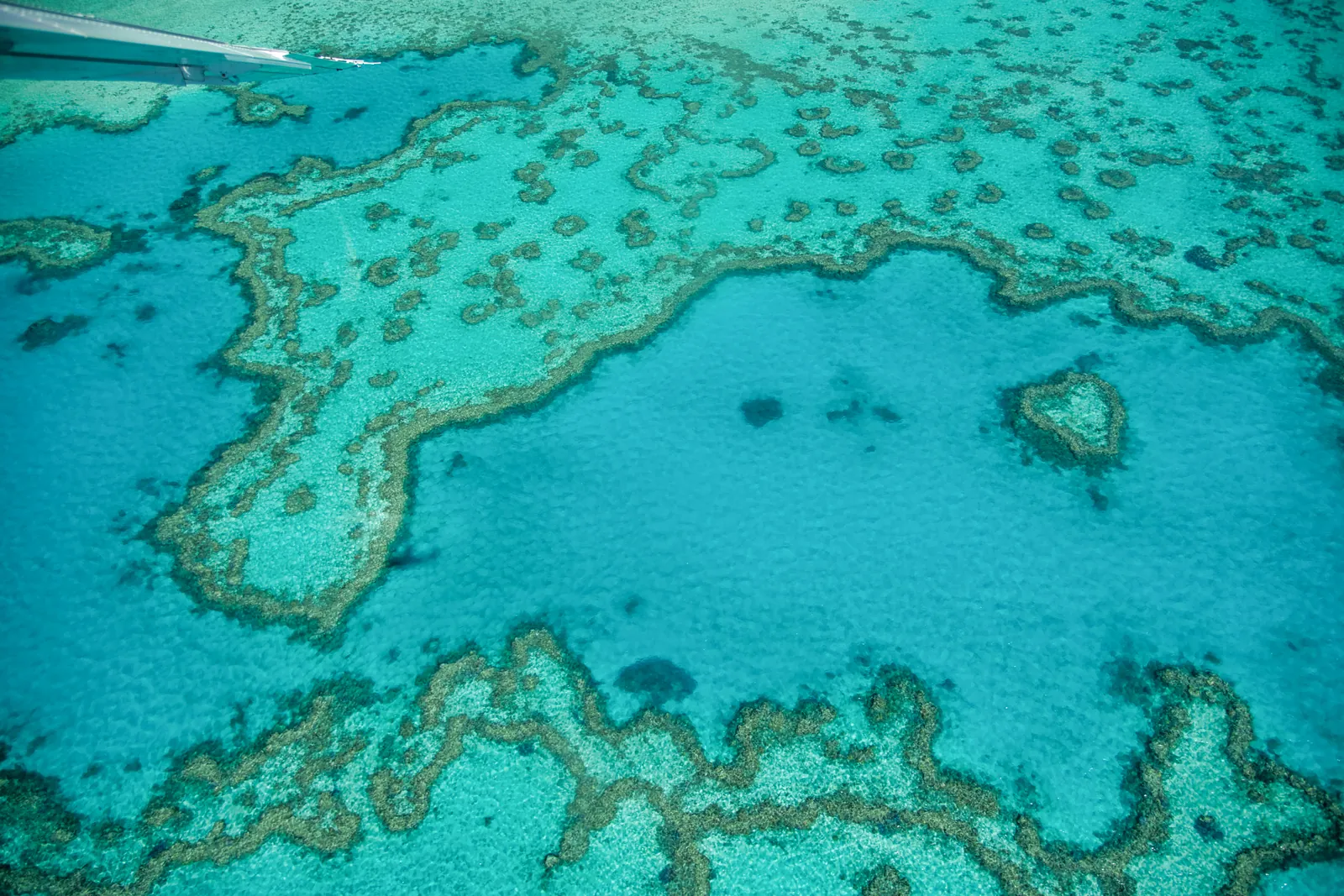 Korallenriffe des Great Barrier Reef vor Queensland aus der Luft