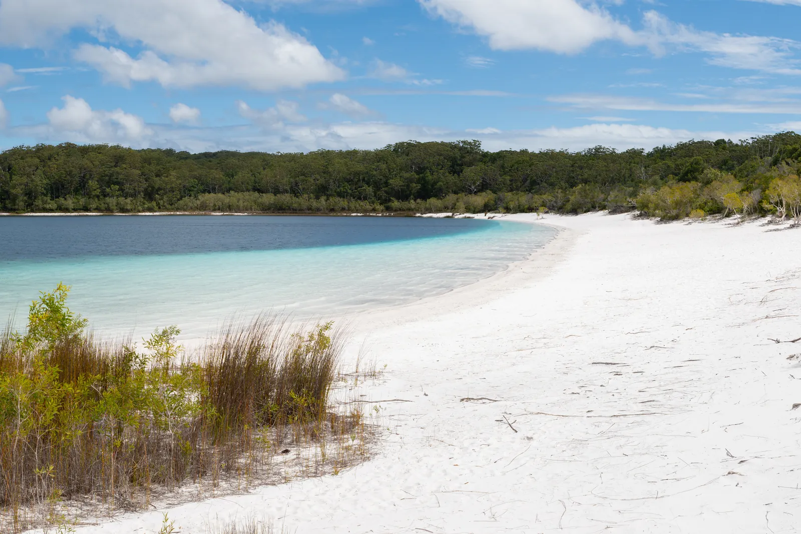 Weißer Sand und klares Wasser am Lake McKenzie auf K’gari