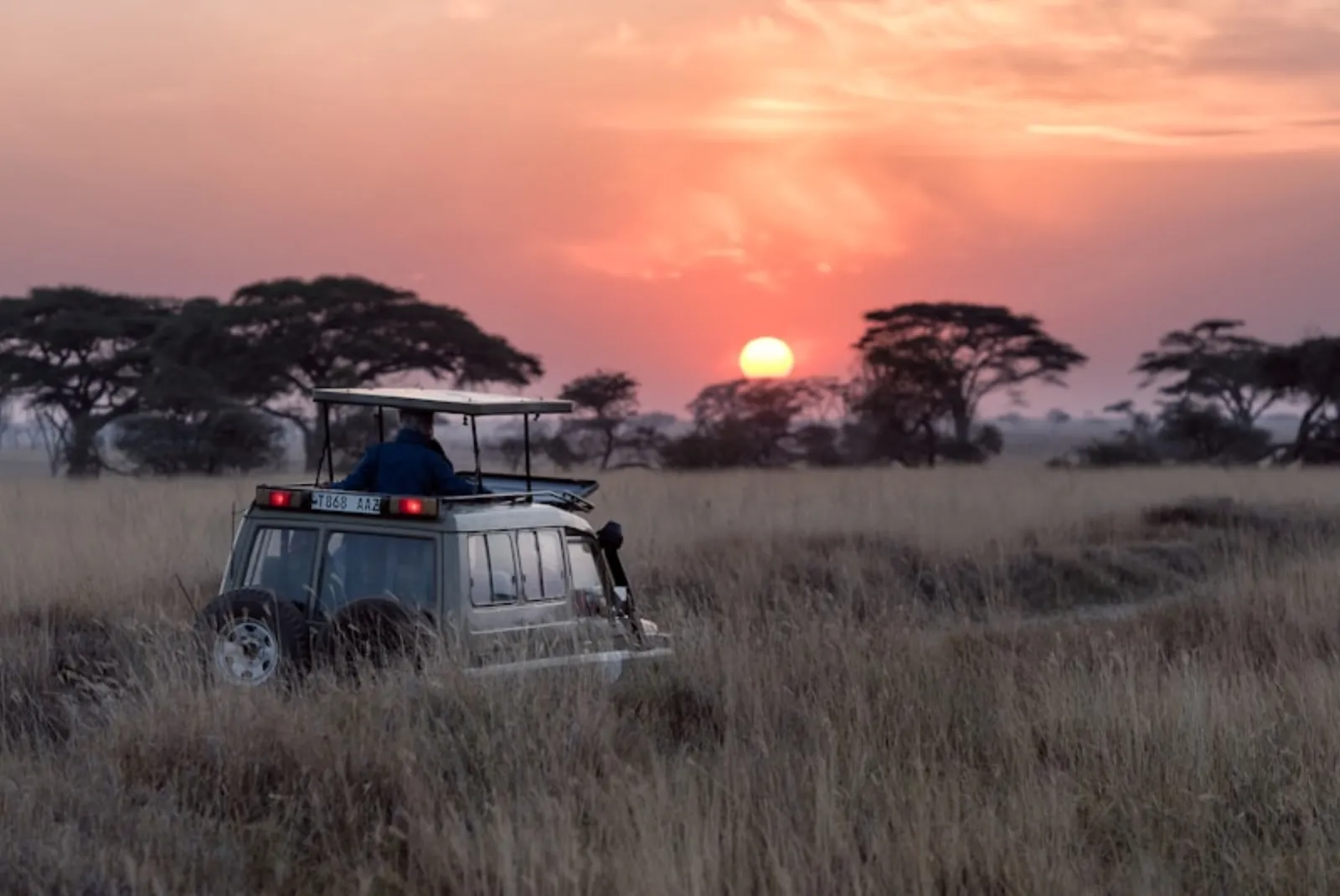 Singita Sabi Sand