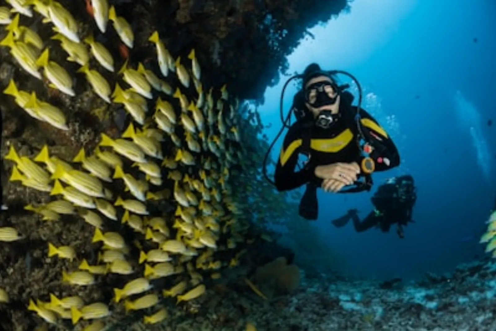 Rotes Meer Tauchen Hurghada